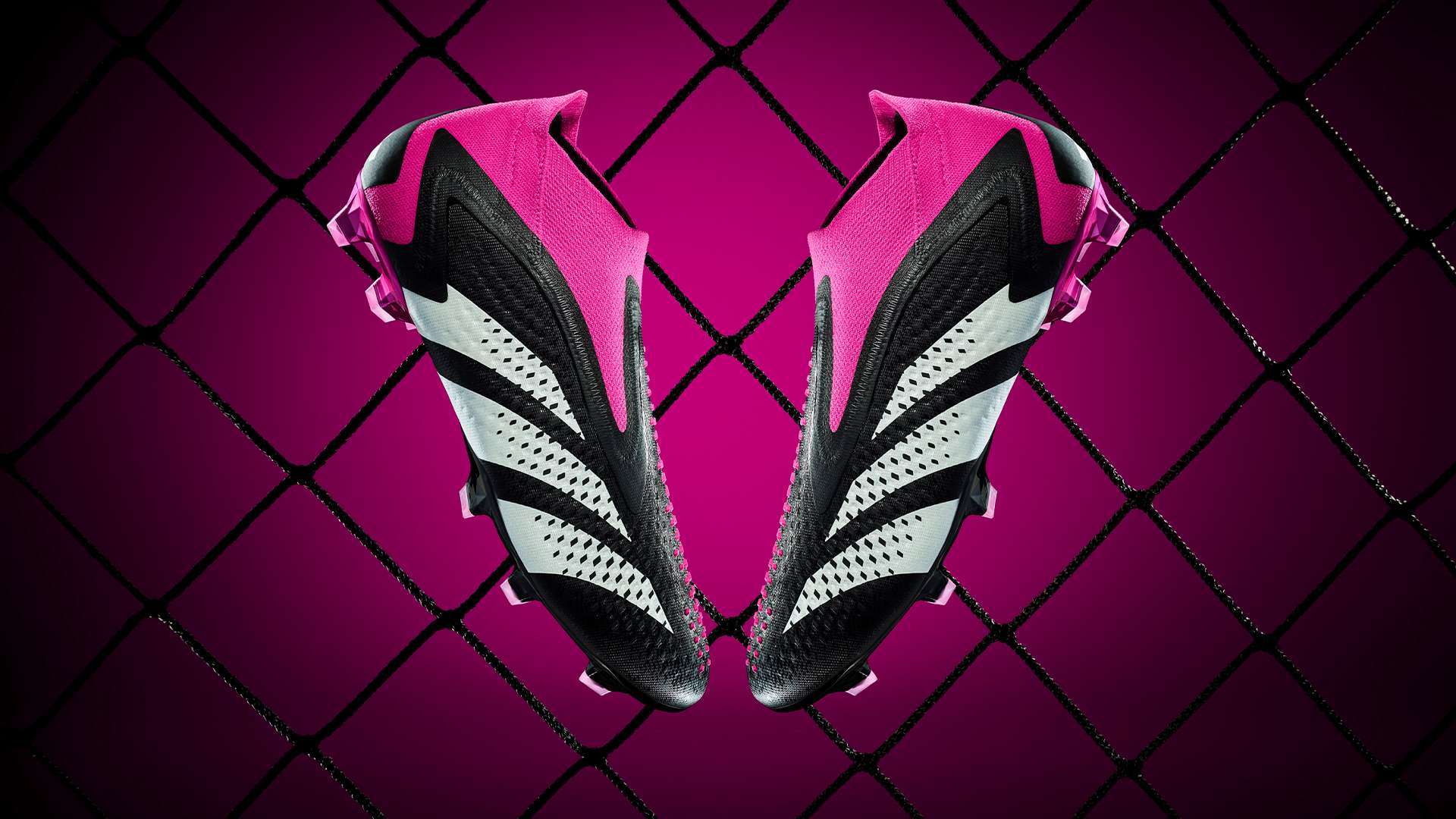 森纳当前的 森纳当前的