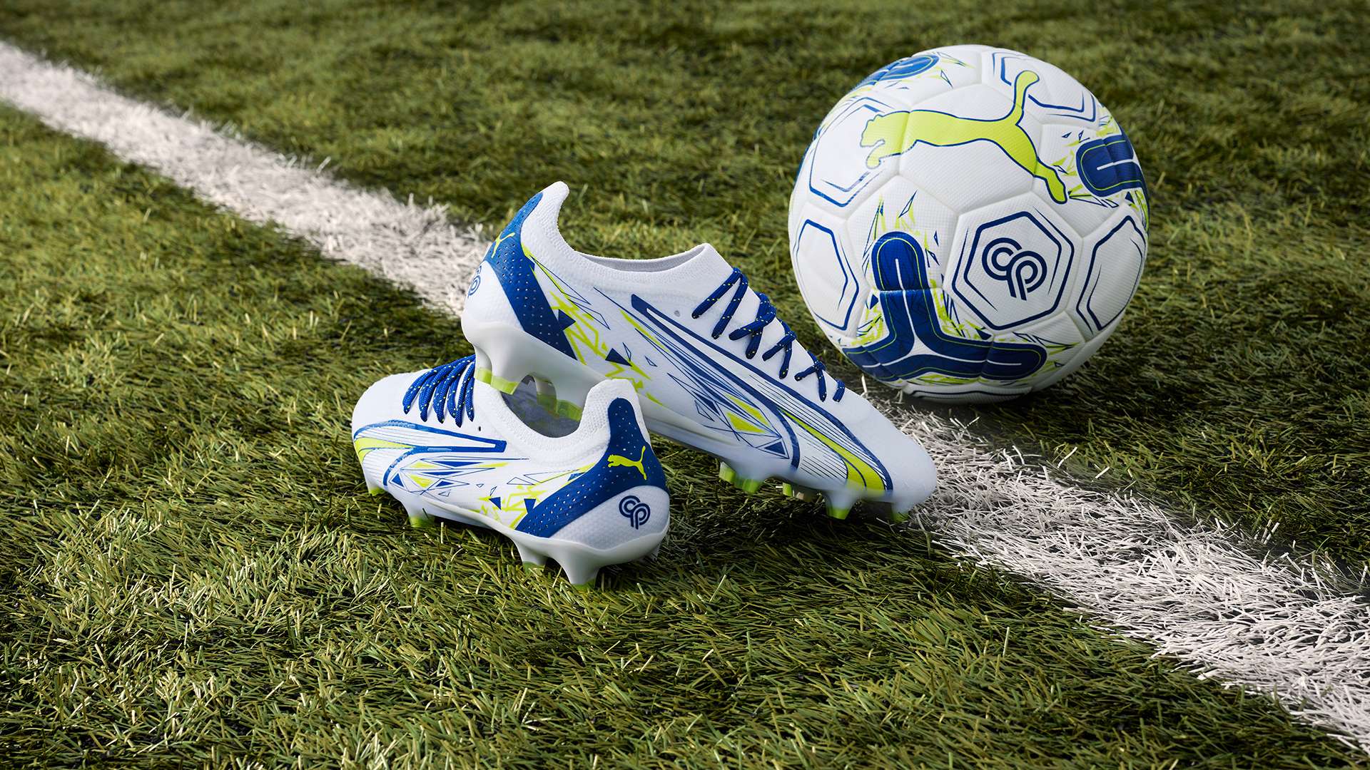 也是对未来 也是对未来